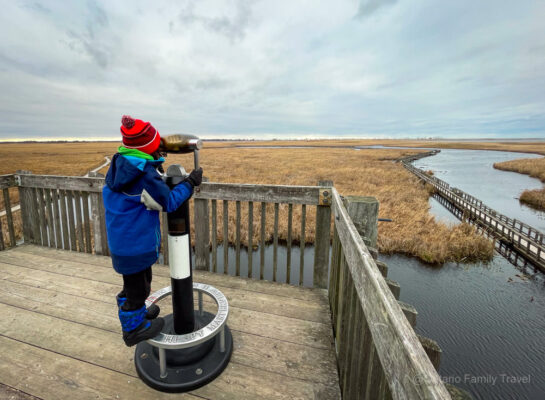 Boy peering through the glass at the look out over the boardwalk at Point Pelee National Park, Ontario