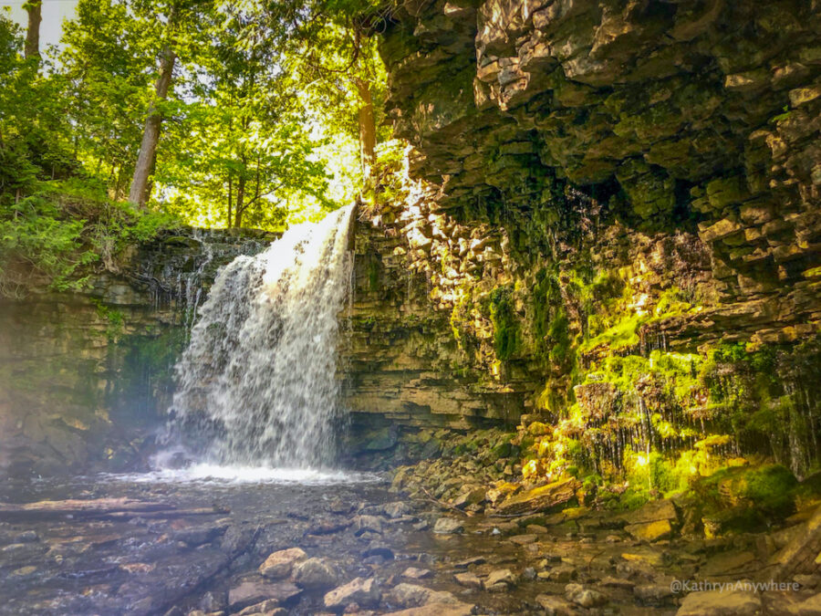 Hilton Falls, waterfall in summer