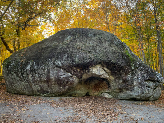 Fall hikes to Beasdell Boulder, Quinte West