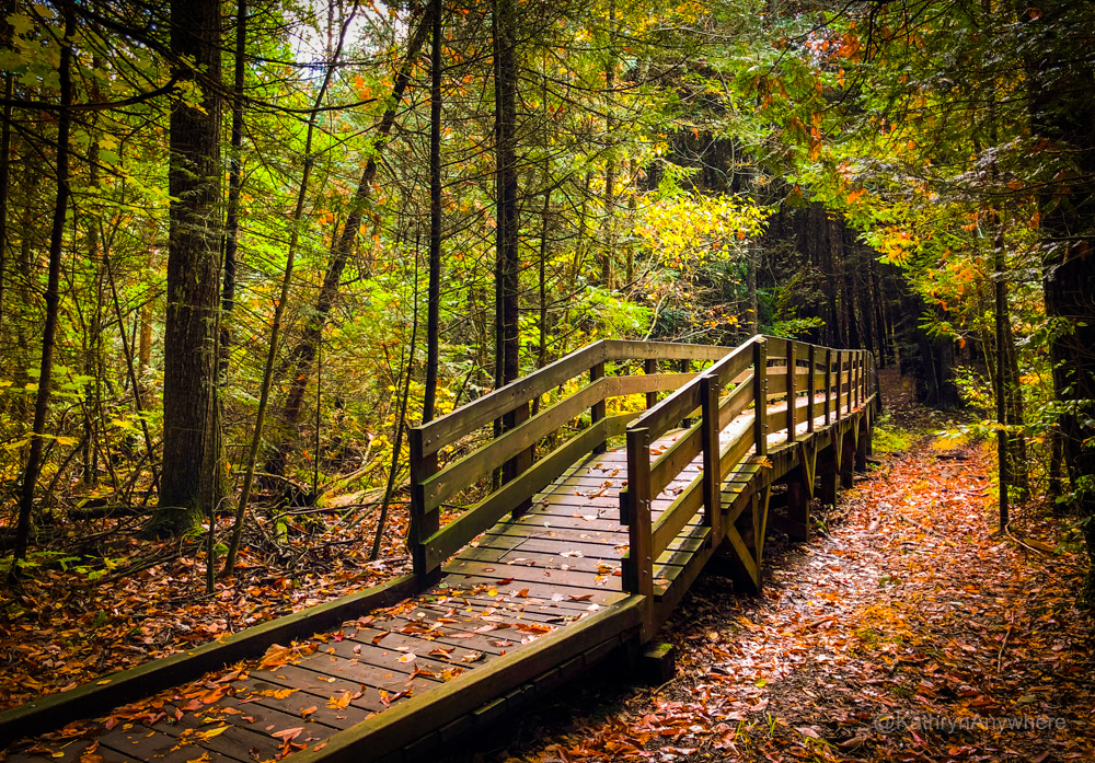 HR Frink boardwalk - Quinte West - Fall Hikes With Kids in Bay of Quinte Region