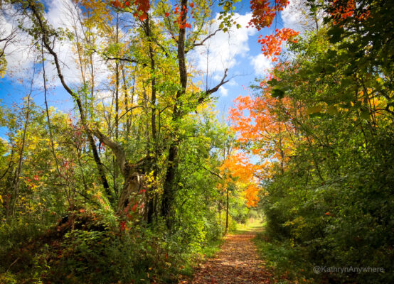 Potters Creek, a great place for fall hikes with kids - Quinte West